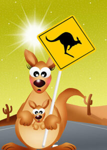 Are Kangaroos Deadly